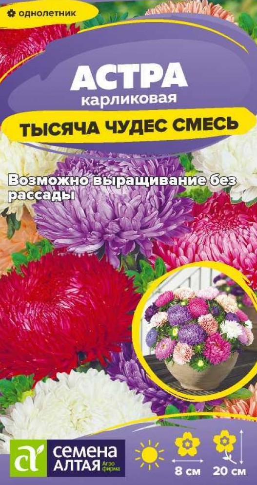 Семена Астра Тысяча чудес смесь карликовая, 0,15 г - фото