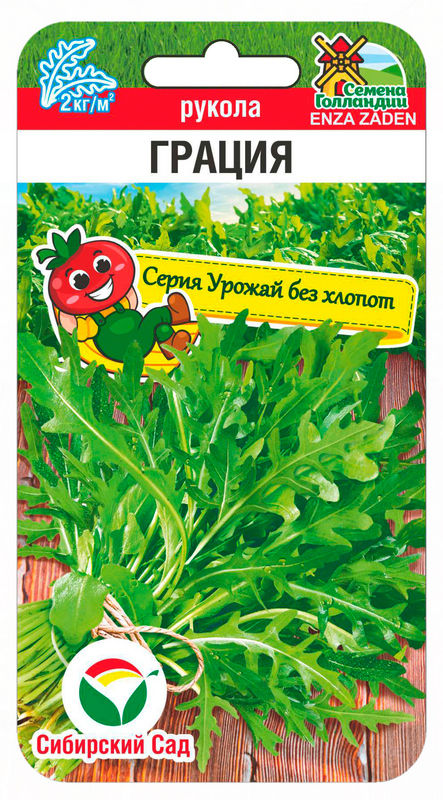 Семена Рукола Грация, 100 шт - фото
