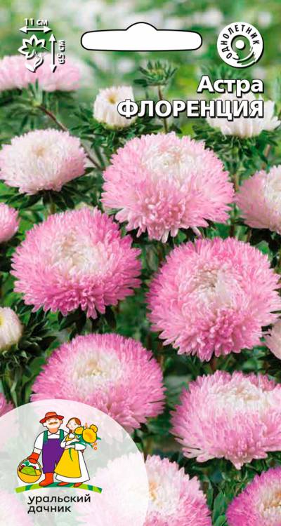 Семена Астра пионовидная Флоренция, 0,2 г - фото