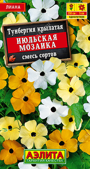 Семена Тунбергия Июльская мозаика смесь сортов, 0,3 г - фото