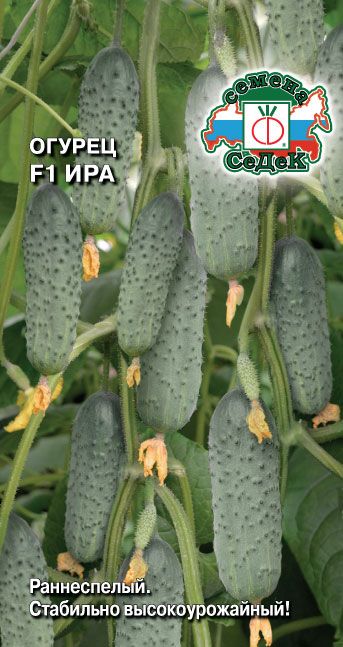 Семена Огурец Ира F1, 0,2 г - фото