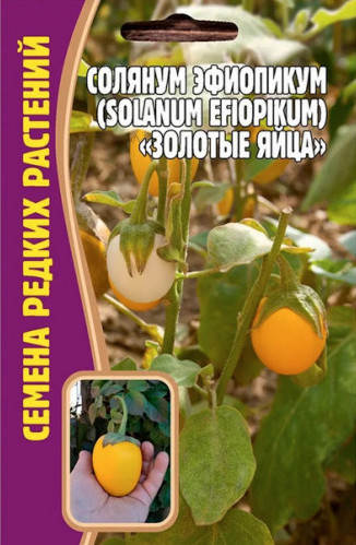 Семена Солянум эфиопикум Золотые яйца, 12 шт - фото
