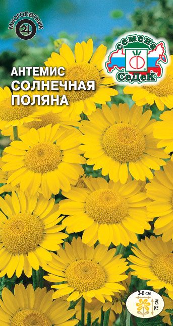 Семена Антемис Солнечная поляна, 0,2 г - фото
