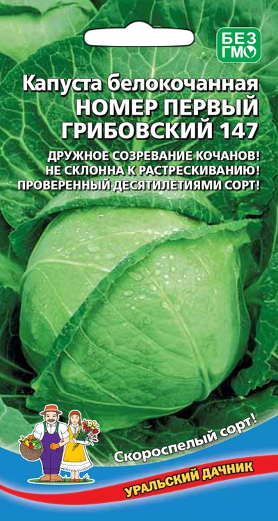 Семена Капуста белокочанная Номер первый Грибовский 147, 0,3 г УД - фото