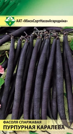 Семена Фасоль Пурпурная королева спаржевая, 7 г - фото