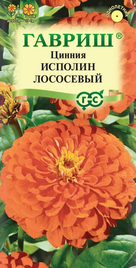 Семена Цинния Исполин лососевый, 0,3 г - фото