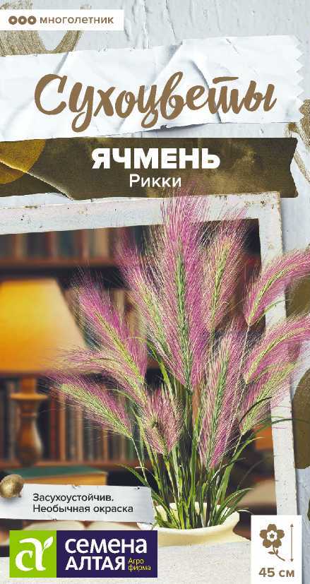 Семена Ячмень Рикки, 5 шт - фото