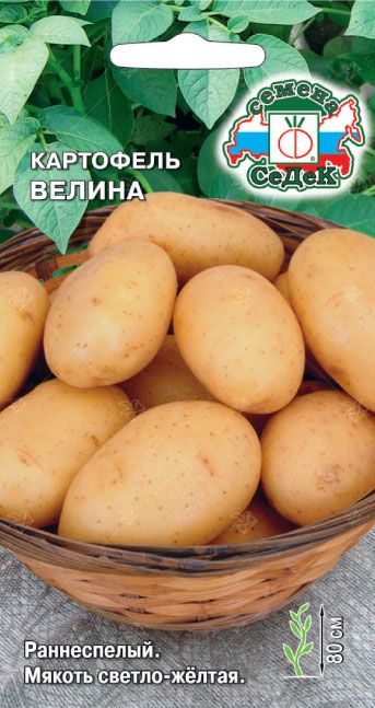 Семена Картофель Велина, 0,02 г - фото
