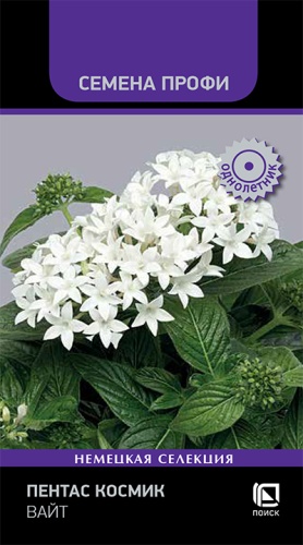 Семена Пентас Космик Вайт, 7 шт - фото