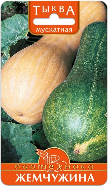 Семена Тыква мускатная Жемчужина, 6 шт Биотехника - фото