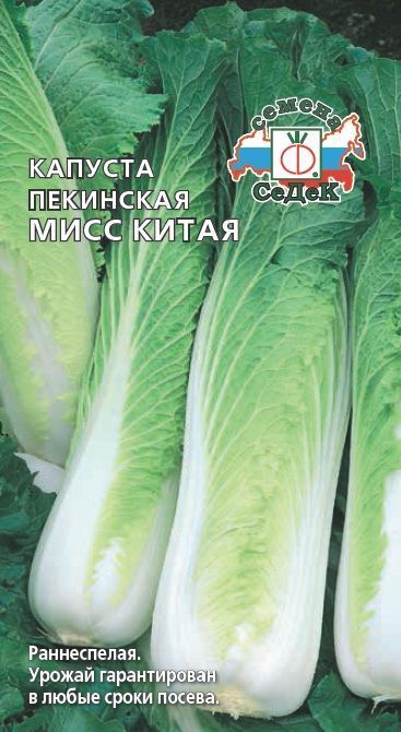 Семена Капуста Пекинская Мисс Китая, 0,3 г - фото