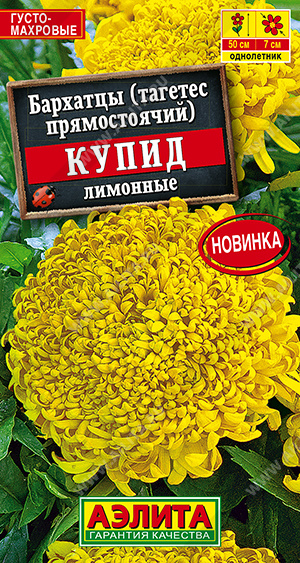 Семена Бархатцы Купид лимонные хризантемовидные, 0,1 г - фото