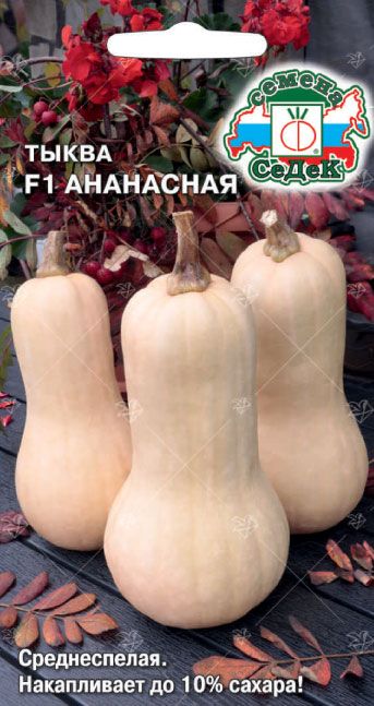 Семена Тыква Ананасная F1, 1 г - фото, картинка Семена Тыква Ананасная F1, 1 г - фото