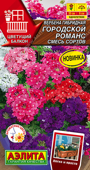 Семена Вербена гибридная Городской романс смесь сортов, 20 шт - фото
