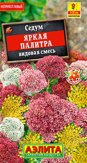 Семена Седум Яркая палитра смесь сортов, 0,01 г - фото