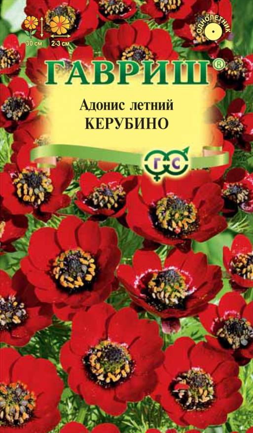 Семена Адонис Керубино, 0,1 г - фото