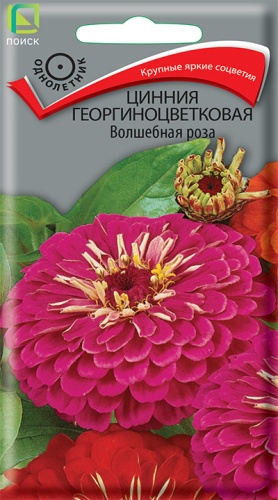 Семена Цинния георгиноцветковая Волшебная роза, 0,4 г - фото