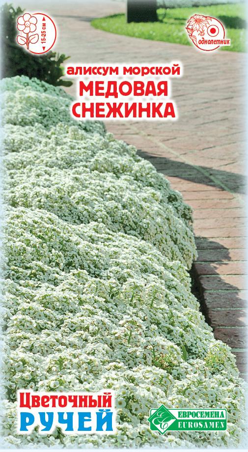 Семена Алиссум морской Медовая Снежинка, 10 шт - фото