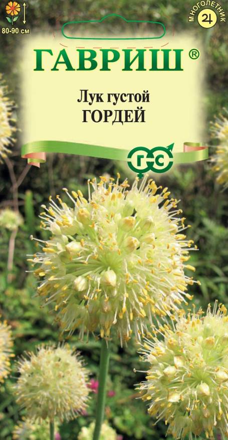 Семена Лук густой (декоративный) Гордей, 0,1 г - фото
