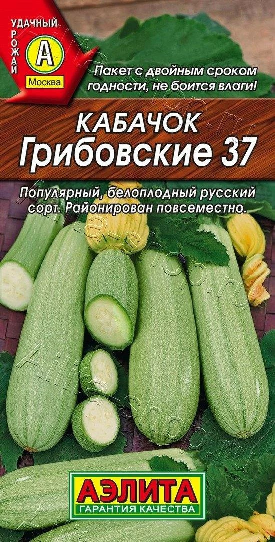 Семена Кабачок белоплодный Грибовские 37 Аэлита, 2 г - фото