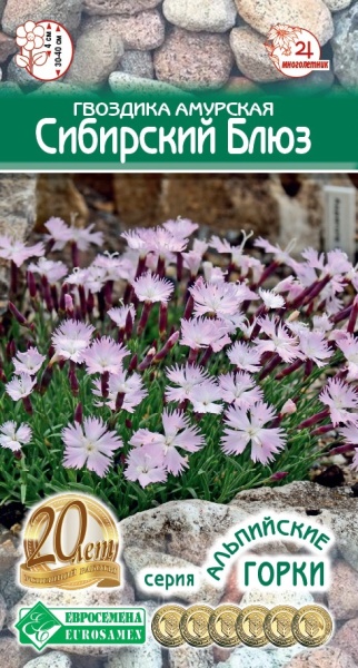Семена Гвоздика амурская Сибирский Блюз, 0,1 г - фото
