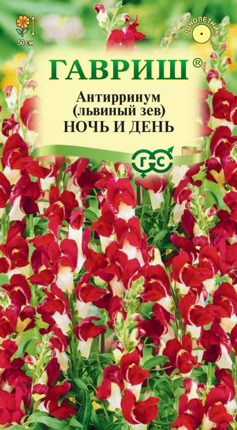 Семена Антирринум (Львиный зев) Ночь и день, 0,05 г - фото