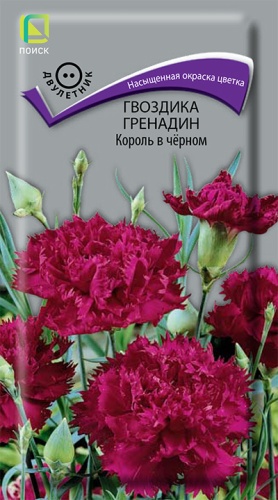 Семена Гвоздика Гренадин Король в черном, 0,1 г - фото