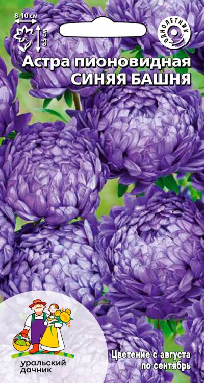 Семена Астра пионовидная Синяя башня, 0,2 г УД - фото