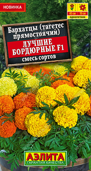 Семена Бархатцы Лучшие бордюрные F1 прямостоячие смесь сортов, 10 шт - фото