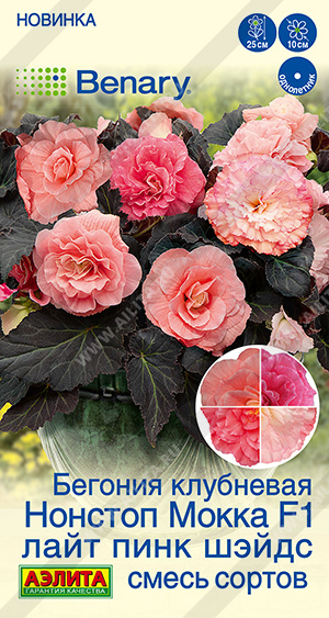 Семена Бегония клубневая Нонстоп мокка F1 лайт пинк шэйдс смесь сортов, 5 шт - фото