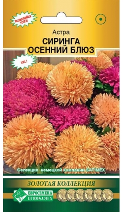 Семена Астра густомахровая Сиринга Осенний Блюз, 8 шт - фото