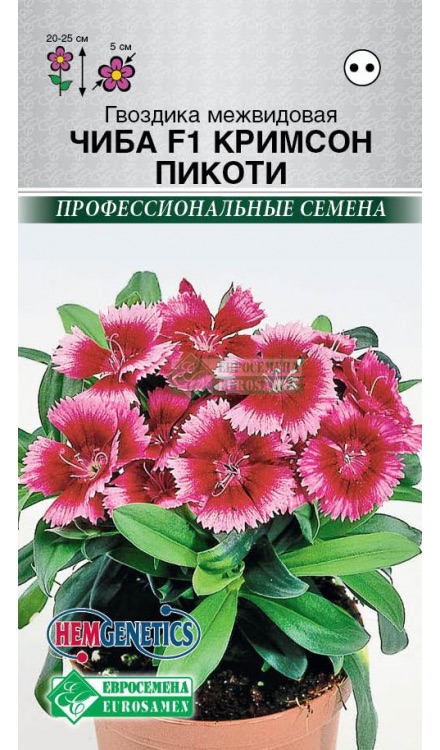 Семена Гвоздика межвидовая Чиба Кримсон Пикоти F1, 5 шт - фото