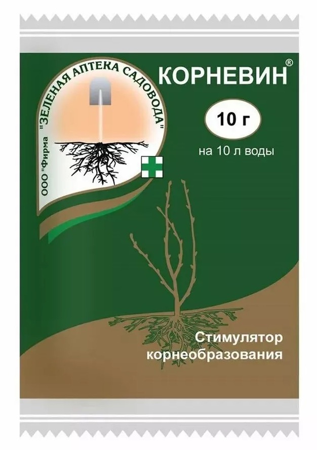 Корневин 