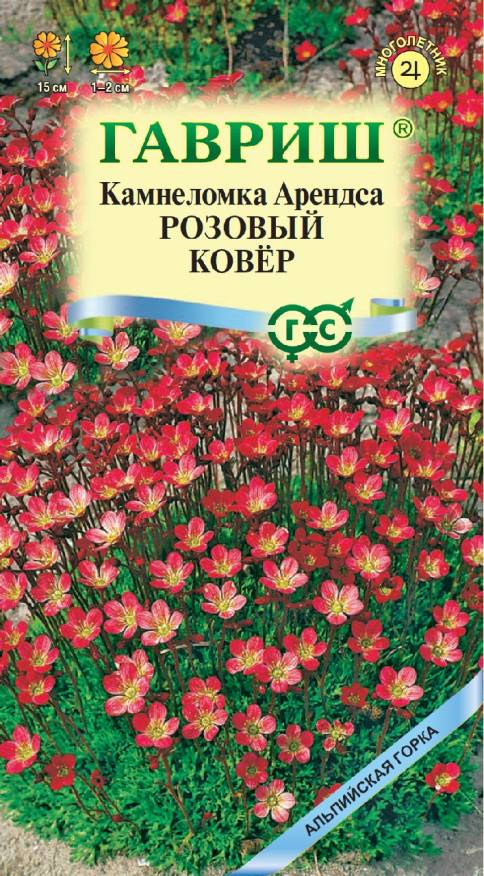 Семена Камнеломка Арендса Розовый ковер, 0,01 г - фото