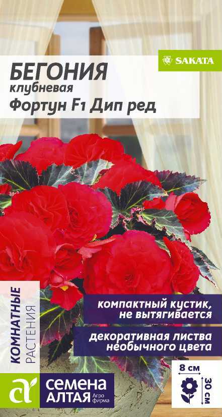 Семена Бегония Фортун F1 Дип Ред клубневая, 4 шт - фото