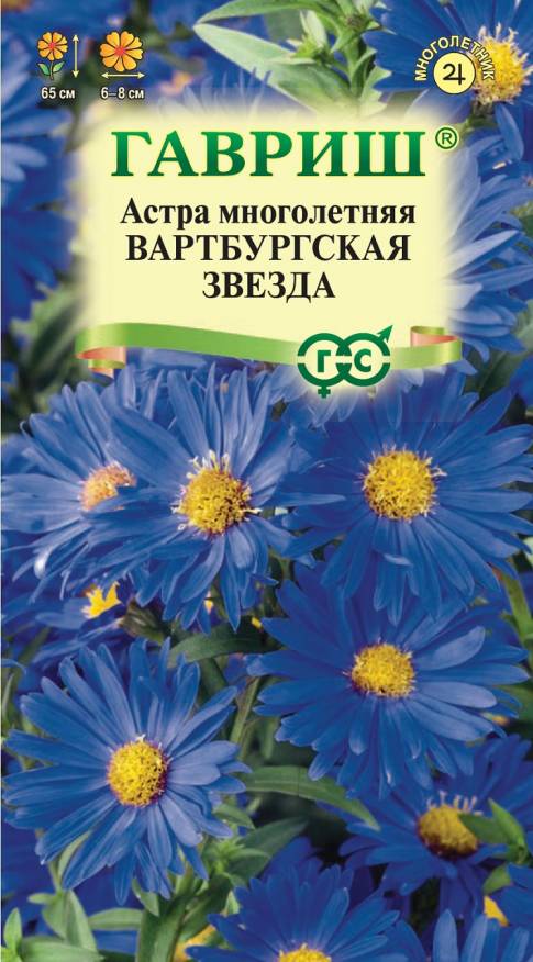 Семена Астра многолетняя Вартбургская звезда, 0,05 г - фото