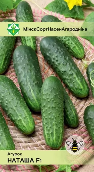 Семена Огурец Наташа F1, 10 шт - фото