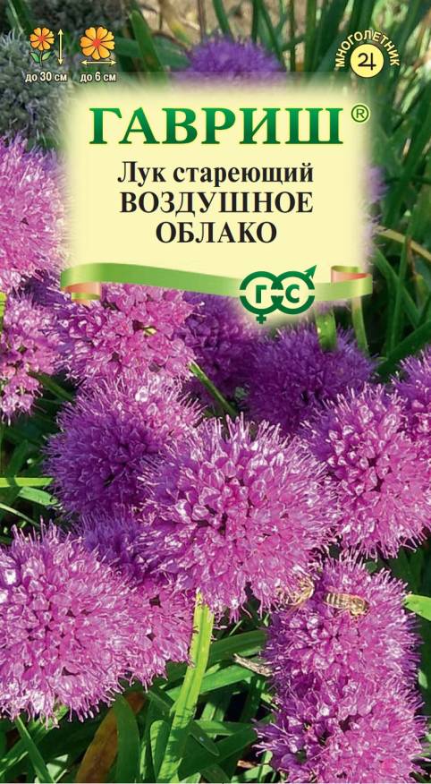 Семена Лук стареющий (декоративный) Воздушное облако, 0,1 г - фото