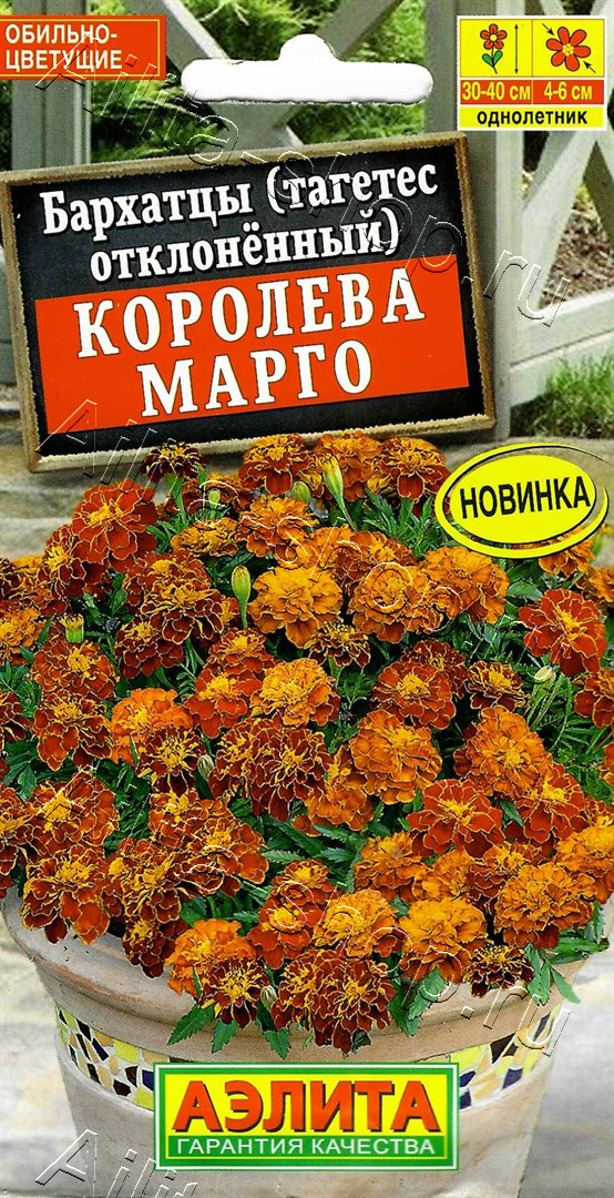 Семена Бархатцы Королева Марго отклоненные, 0,3 г - фото