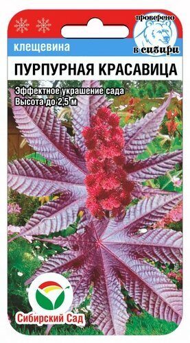 Семена Клещевина Пурпурная красавица, 5 шт - фото