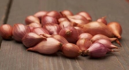 Лук-севок Кривичский розовый 10-17 мм, 500 г - фото