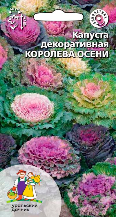 Семена Капуста декоративная Королева осени, 0,1 г - фото