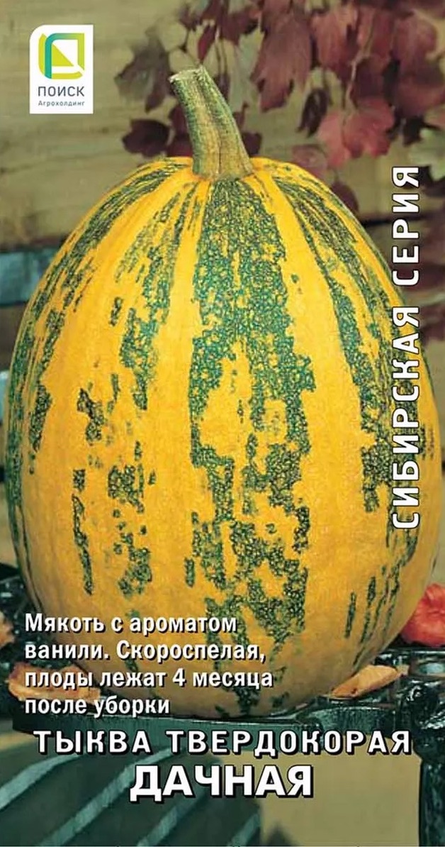 Семена Тыква Твердокорая Дачная, 10 шт - фото