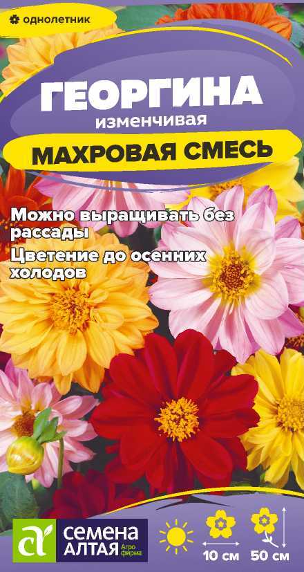 Семена Георгина Махровая смесь окрасок, 0,2 г - фото