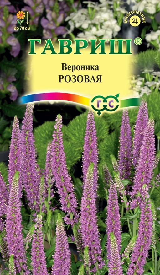Семена Вероника длиннолистная Розовая, 0,02 г - фото