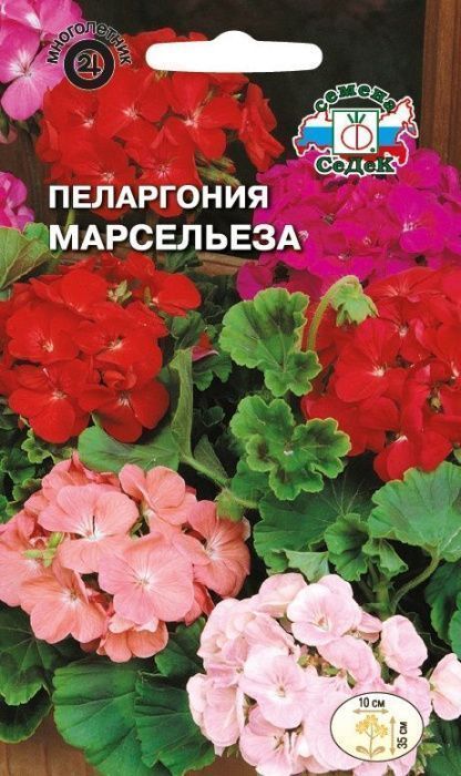 Семена Пеларгония Марсельеза - фото