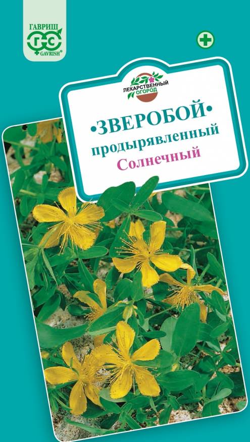 Семена Зверобой продырявленный Солнечный, 0,1 г - фото