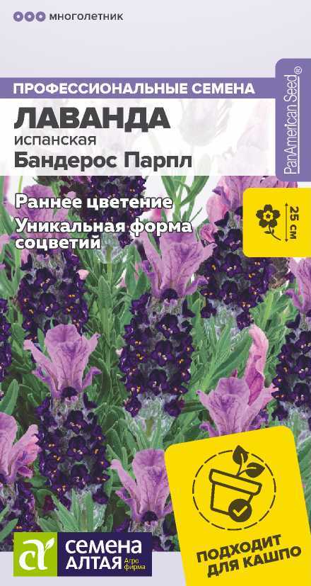 Семена Лаванда испанская Бандерос Парпл, 5 шт - фото
