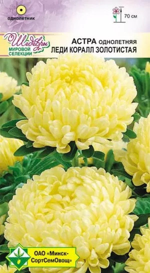 Семена Астра Леди Коралл Золотистая, 0,1 г - фото