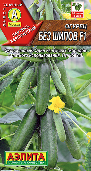 Семена Огурец Без шипов F1, 10 шт - фото